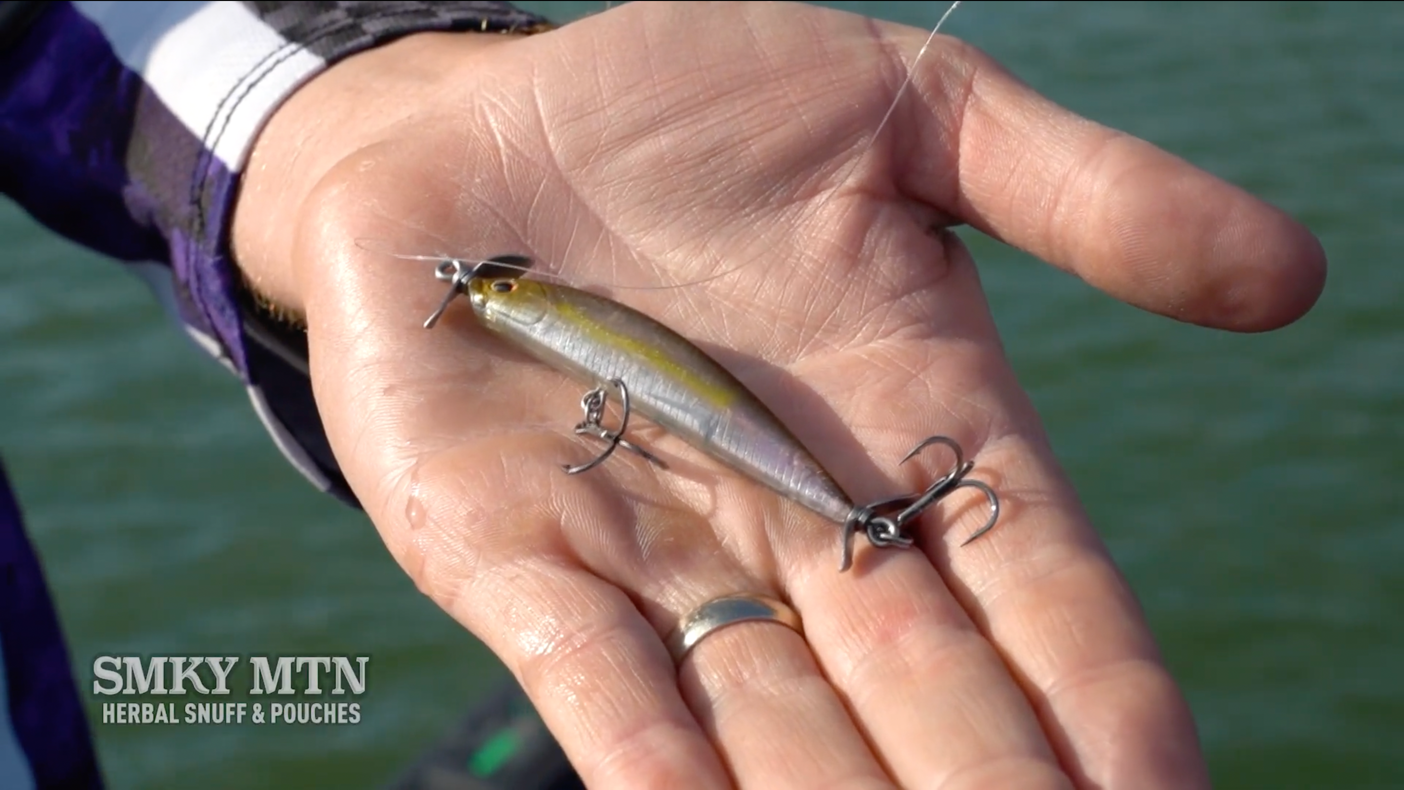 Fishing Pro Josh Bertrand Shares His Tips on Spybaiting